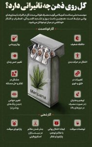 گل روی ذهن چه تاثیراتی دارد؟